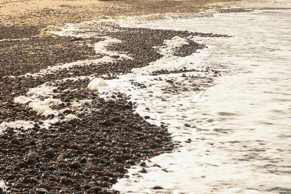 Tepeleri Baltık Denizi sahil şeridi üzerinde güzel bir manzara
