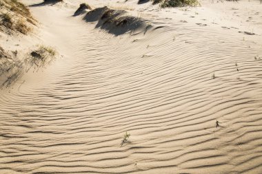 Güzel beyaz kum deniz plaj