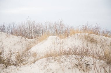 Tepeleri Baltık Denizi sahil şeridi üzerinde güzel bir manzara