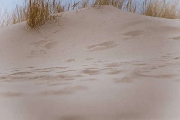 Schöner weißer Sand am Meeresstrand — Stockfoto