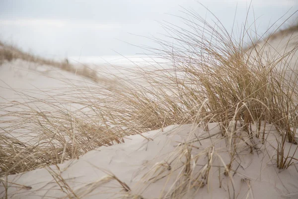 Güzel beyaz kum deniz plaj