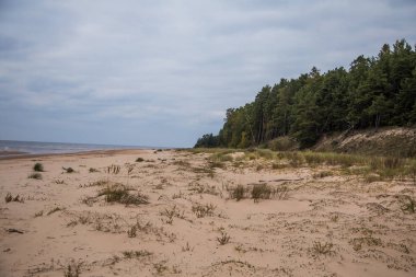 Sakin plaj manzara Letonya. Baltık Denizi'nin güzel sahil sahne. Denize yakın bir sonbahar.