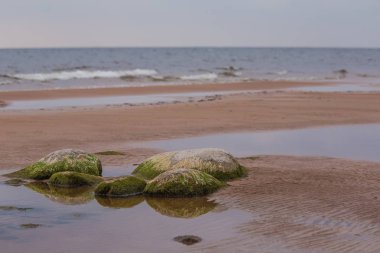 Bir Beach taşlar ile güzel bir manzara. Baltık Denizi kıyısında taşlarla. Denizde bir sonbahar sahne.