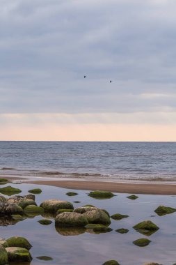 Bir Beach taşlar ile güzel bir manzara. Baltık Denizi kıyısında taşlarla. Denizde bir sonbahar sahne.