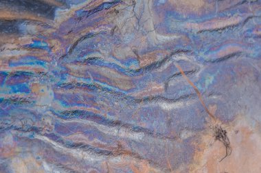 Renkli desenler sahil kumu petrol. Kirliliği desenleri Baltık Denizi kıyısında. Ekolojik bir konuda renkli, soyut şekiller.