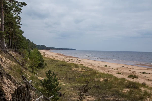Sakin plaj manzara Letonya. Baltık Denizi'nin güzel sahil sahne. Denize yakın bir sonbahar.