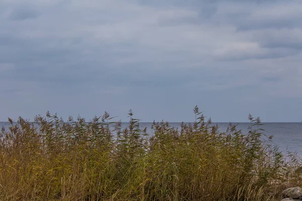 Sakin plaj manzara Letonya. Baltık Denizi'nin güzel sahil sahne. Denize yakın bir sonbahar.