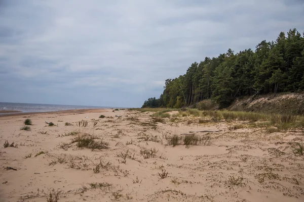Sakin plaj manzara Letonya. Baltık Denizi'nin güzel sahil sahne. Denize yakın bir sonbahar.