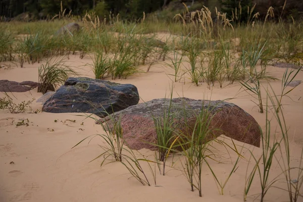 Bir Beach taşlar ile güzel bir manzara. Baltık Denizi kıyısında taşlarla. Denizde bir sonbahar sahne.