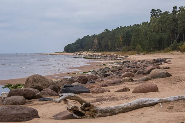Eine wunderschöne Landschaft eines Strandes mit Steinen. Ostseeküste mit Felsen. eine herbstliche Landschaft am Meer. — Stockfoto