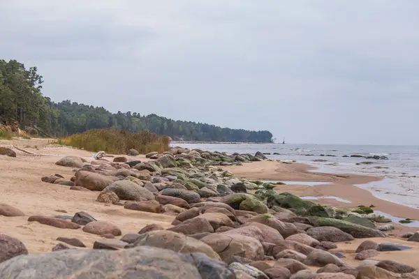 Eine wunderschöne Landschaft eines Strandes mit Steinen. Ostseeküste mit Felsen. eine herbstliche Landschaft am Meer. — Stockfoto