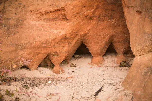 Letonya kumtaşı kayalıklarla güzel bir portre. Desen bir kum oluşumların kapatın. Kumtaşı deniz kenarında mağaralar. Kumtaşı renkli fotoğraf — Stok fotoğraf