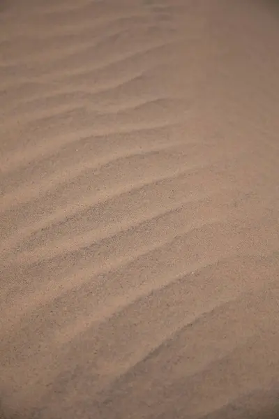 A beautiful sea sand pattern on a beach. Baltic sea shore sand texture. A beautiful sandy pattern for background. — Stock Photo, Image