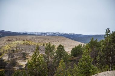 Güzel sonbahar manzara Merkez Norveç'te. Renkli sonbahar sahne İskandinavya.