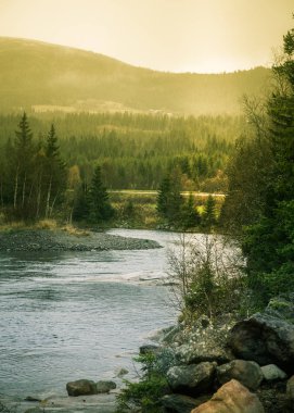 Güzel sonbahar manzara Merkez Norveç'te. Renkli sonbahar sahne İskandinavya.