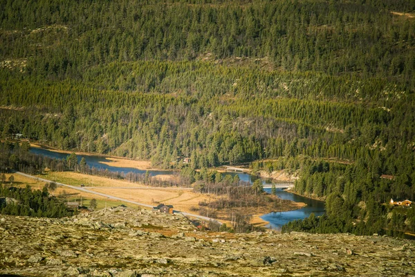 Uma bela vista aérea de uma floresta de outono na Noruega. Pinhais de cima. Paisagem florestal colorida . — Fotografia de Stock