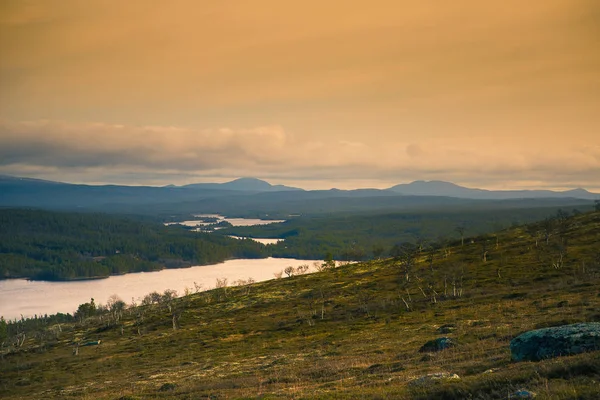 A tó Norvégia az őszi erdő gyönyörű légifelvételek. A fenti fenyőfák. Színes erdős táj. — Stock Fotó