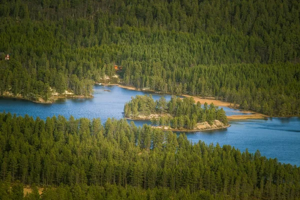 Krásné letecký pohled podzimní les s jezerem v Norsku. Borovicemi shora. Barevné lesní krajina. — Stock fotografie