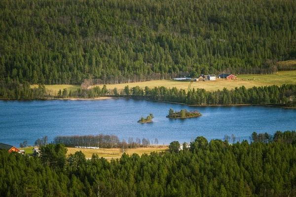 Krásné letecký pohled podzimní les s jezerem v Norsku. Borovicemi shora. Barevné lesní krajina. — Stock fotografie