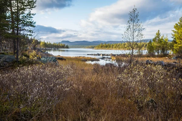 Hermoso paisaje de otoño en el centro de Noruega. Coloridos paisajes otoñales en Escandinavia . — Foto de Stock