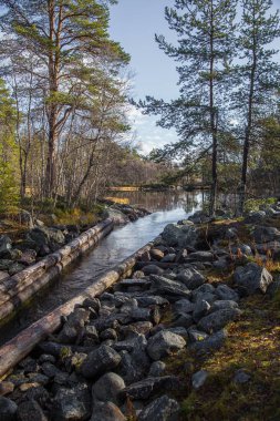 Güzel bir sonbahar sahne kereste göller arasında taşıma için bir tarihi su kanalı. Ahşap inşaat. Sonbahar Femundsmarka Milli Parkı'nda.