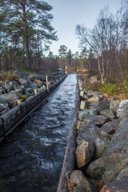Güzel bir sonbahar sahne kereste göller arasında taşıma için bir tarihi su kanalı. Ahşap inşaat. Sonbahar Femundsmarka Milli Parkı'nda.