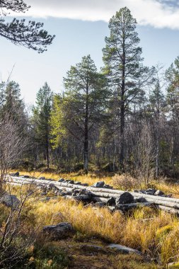 Güzel bir sonbahar sahne kereste göller arasında taşıma için bir tarihi su kanalı. Ahşap inşaat. Sonbahar Femundsmarka Milli Parkı'nda.