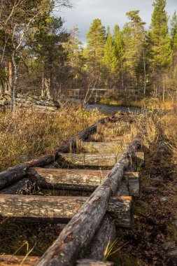 Güzel bir sonbahar sahne kereste göller arasında taşıma için bir tarihi su kanalı. Ahşap inşaat. Sonbahar Femundsmarka Milli Parkı'nda.