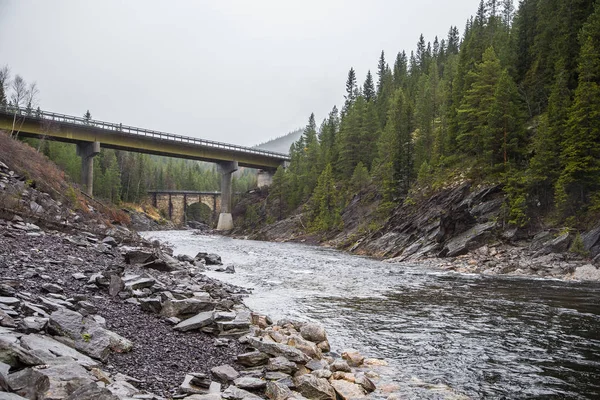 Merkez Norveç'te nehri geçerken bir güzel tarihi taş köprü. Renkli sonbahar manzara.