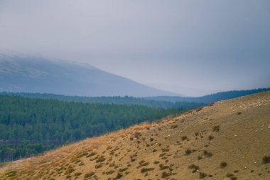 Güzel bir kumul Norveç ortasında. Sonbahar Merkezi İskandinavya Kuzey çölde. Çorak bir arazi gibi görünüyor renkli sahne.