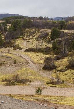 Güzel bir kumul Norveç ortasında. Sonbahar Merkezi İskandinavya Kuzey çölde. Çorak bir arazi gibi görünüyor renkli sahne.