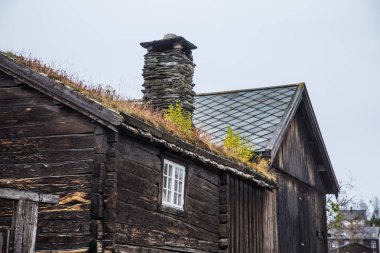 Bir çim ve bir çatı üzerinde büyüyen moss sahip güzel bir ahşap ev. Doğal çatı, Norveç'te bina geleneksel. Güzel sonbahar sahne.