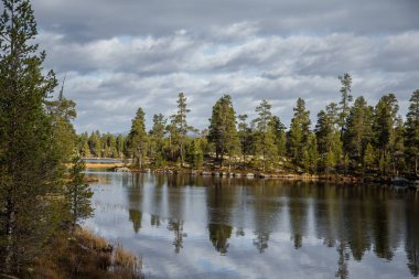 Femundsmarka Milli Parkı'nda Norveç'te bir göl kıyısında, güzel bir sonbahar manzara. Mevsimlik sahne güz.