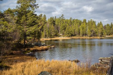 Femundsmarka Milli Parkı'nda Norveç'te bir göl kıyısında, güzel bir sonbahar manzara. Mevsimlik sahne güz.