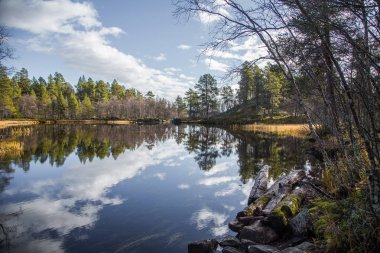Femundsmarka Milli Parkı'nda Norveç'te bir göl kıyısında, güzel bir sonbahar manzara. Mevsimlik sahne güz.
