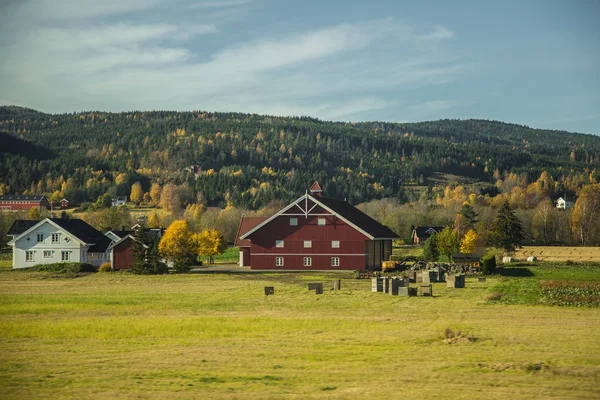 Hermoso paisaje otoñal en Noruega con hojas amarillas. Colorido paisaje nórdico . — Foto de Stock
