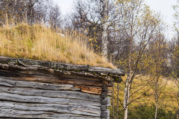 Une belle maison en bois dans la forêt avec une herbe et de la mousse poussant sur un toit. Toiture naturelle, bâtiment traditionnel en Norvège. Beau paysage d'automne . — Photo