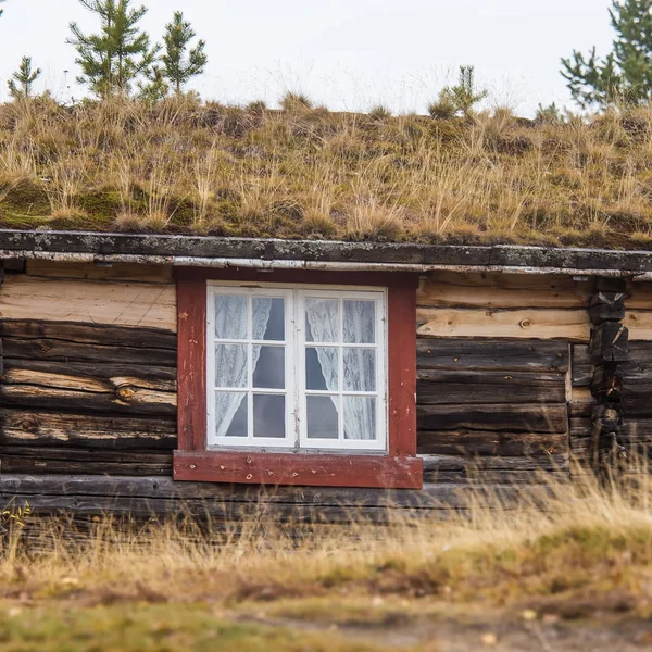 Une belle maison en bois dans la forêt avec une herbe et de la mousse poussant sur un toit. Toiture naturelle, bâtiment traditionnel en Norvège. Beau paysage d'automne . — Photo