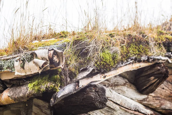 Una hermosa casa de madera en el bosque con una hierba y musgo creciendo en un techo. Techo natural, edificio tradicional en Noruega. Hermoso paisaje de otoño . — Foto de Stock