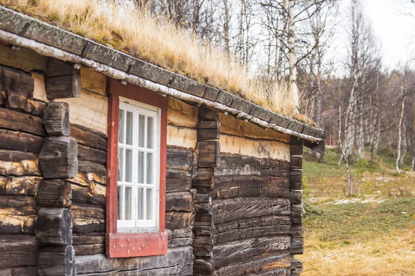 Une belle maison en bois dans la forêt avec une herbe et de la mousse poussant sur un toit. Toiture naturelle, bâtiment traditionnel en Norvège. Beau paysage d'automne . — Photo