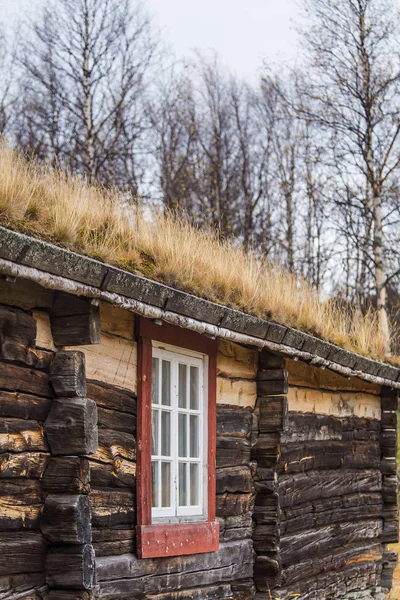 Une belle maison en bois dans la forêt avec une herbe et de la mousse poussant sur un toit. Toiture naturelle, bâtiment traditionnel en Norvège. Beau paysage d'automne . — Photo