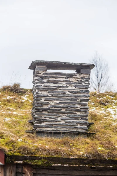 Une belle maison en bois dans la forêt avec une herbe et de la mousse poussant sur un toit. Toiture naturelle, bâtiment traditionnel en Norvège. Beau paysage d'automne . — Photo