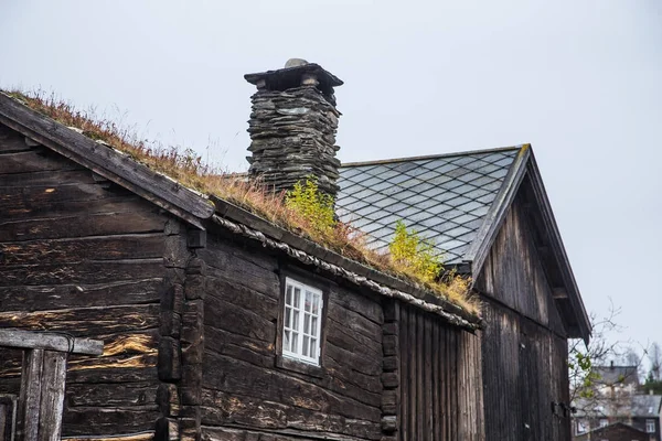 Bir çim ve bir çatı üzerinde büyüyen moss sahip güzel bir ahşap ev. Doğal çatı, Norveç'te bina geleneksel. Güzel sonbahar sahne.
