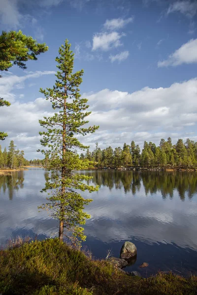 Un hermoso paisaje otoñal en la costa de un lago en el Parque Nacional Femundsmarka en Noruega. Paisaje estacional en otoño . —  Fotos de Stock