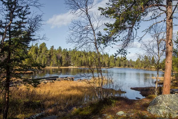 Un hermoso paisaje otoñal en la costa de un lago en el Parque Nacional Femundsmarka en Noruega. Paisaje estacional en otoño . — Foto de Stock