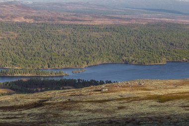 Dağ Vadisi güzel bir göl. Yukarıdan görüntüleyin. Merkez Norveç'te renkli sonbahar manzara.