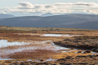 Norveç'te deniz seviyesinden yüksek bir güzel dağ gölü. Göl, renkli sonbahar yatay.