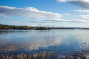 Bir güzel göl manzara Femundsmarka Milli Parkı'nda Norveç'te. Gölün uzak dağlarda arka plan ile. Güzel sonbahar sahne canlı renkler ile.