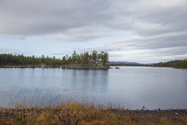 Гарне озеро краєвид в Femundsmarka Національний парк в Норвегії. Озеро з далеких гір у фоновому режимі. Красиві осінній пейзаж з яскравими квітами. — стокове фото
