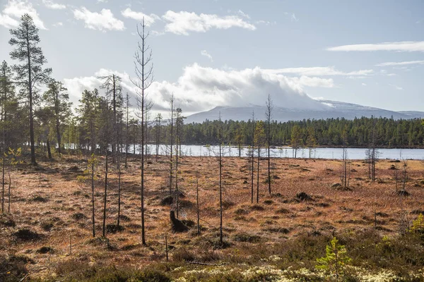 Egy gyönyörű tó táj Femundsmarka National Park, Norvégia. A tó egy távoli hegyek a háttérben. Szép őszi táj, élénk színek. — Stock Fotó